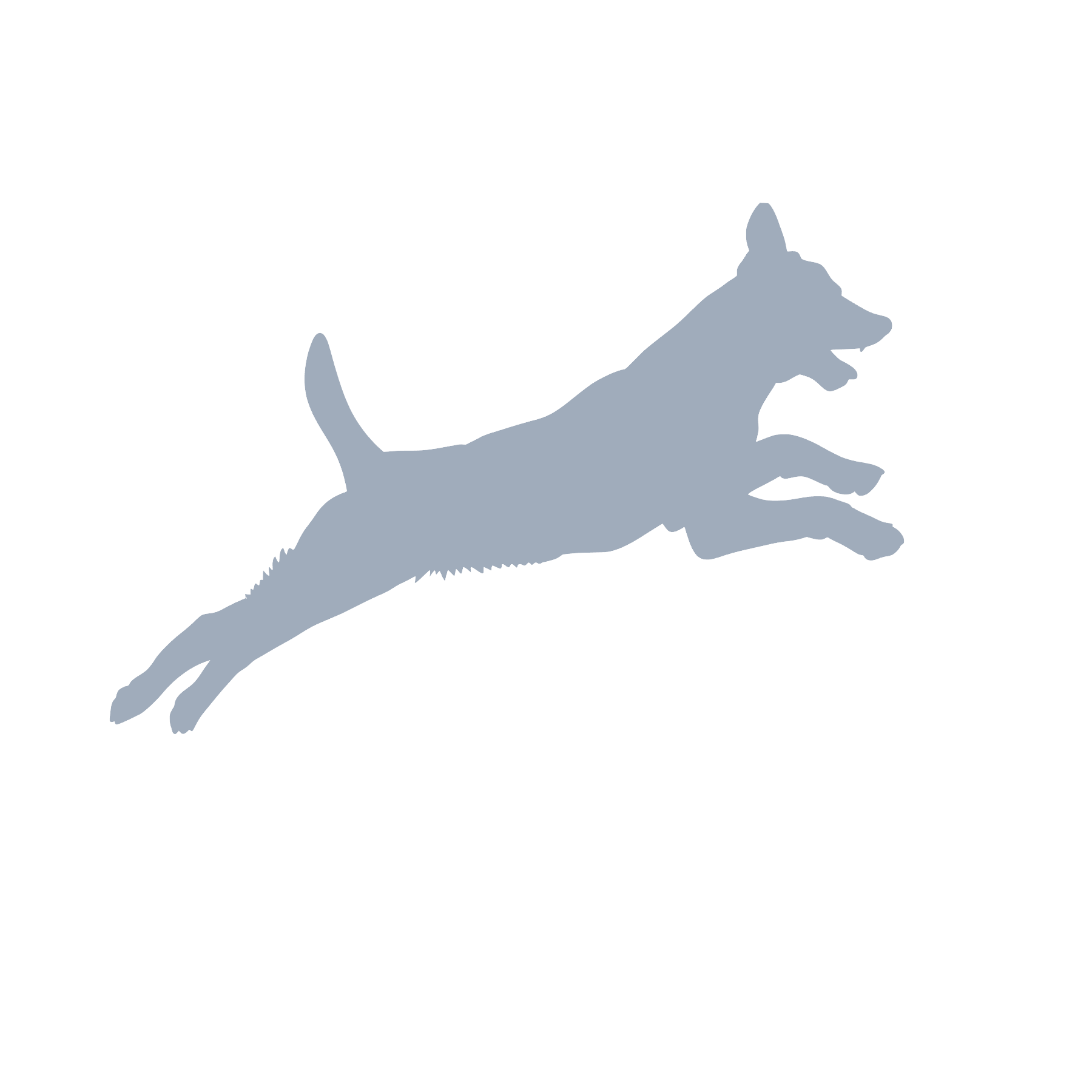 Canis_Motion_Icons_hund(1)