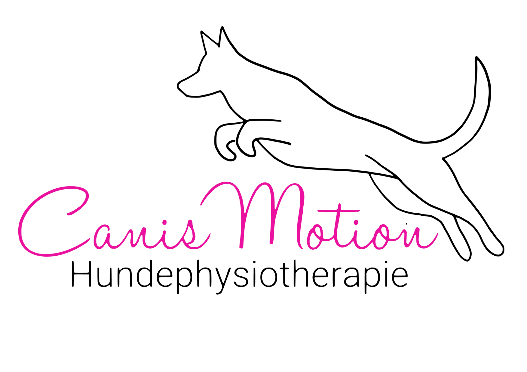 minimierte Version des Logos Canis Motion in schwarz-pink
